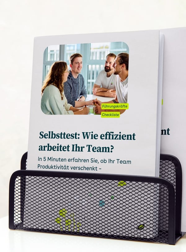 Selbsttest-Teameffizienz-Mock-Up