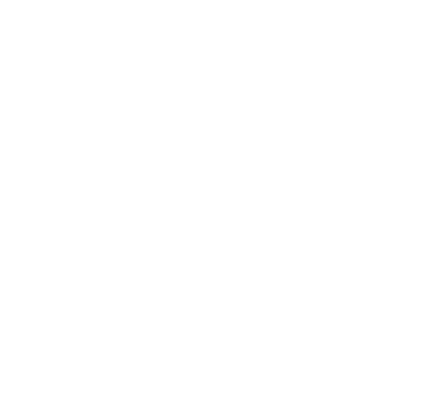 bgh-logo-weiss-lise-gmbh-1